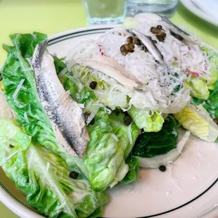 Gem lettuce, anchovy, capers, radish, parmigiano-reggiano. Get this salad if you like anchovy and flavor!!! Yummy.