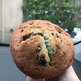 Blueberry muffin