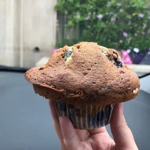 Blueberry muffin