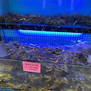 Great selection of East coast lobster and Dungeness crab.