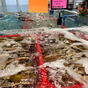 Razor clams from Seattle.