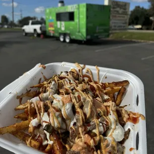 Loaded Steak fries