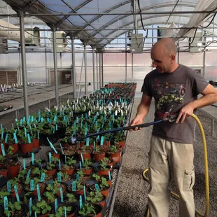 Our clients work hard to grow and care for thousands of plants!  All to help gain independence for their lives.