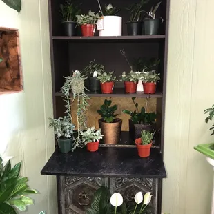 A New Leaf Garden Center