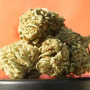 Tropicana Cookies Weed Strain Sativa