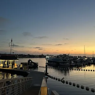 Newport Harbor