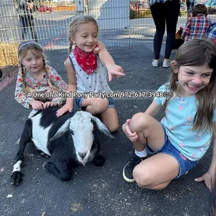 A One of a Kind Pony Party