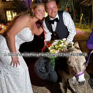 #A1ponyparty #weddingdonkey #beerburro