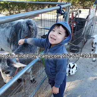 #A1ponyparty #pettingzoo #pettingfarm #pettingzoofun