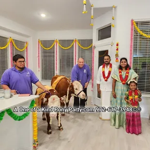 #A1ponyparty #cowcalfhouseblesding #indoorcows #minicows