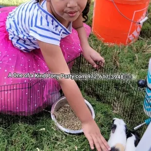 #A1ponyparty #pettingzoo #pettingfarm #pettingzoofun