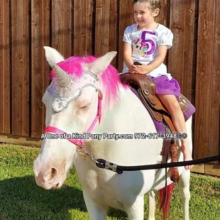 #A1ponyparty  #pinkunicorn #pinkpony #ponyride #ponyparty