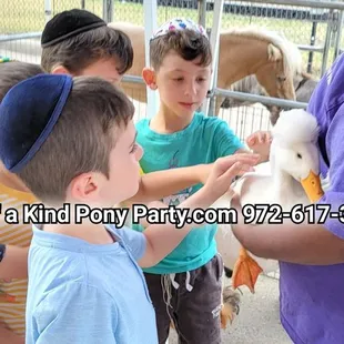 #A1ponyparty #pettingzoo #pettingfarm #pettingzoofun