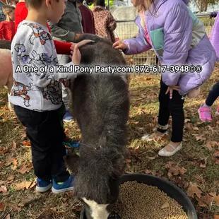 #A1ponyparty #pettingzoo #pettingfarm #pettingzooparty #pettingzoofun