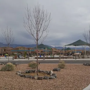 Amazing park for all ages