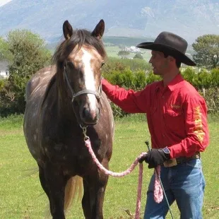 Good Times Training Horses in Dublin Ireland