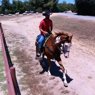 Training Police Horses