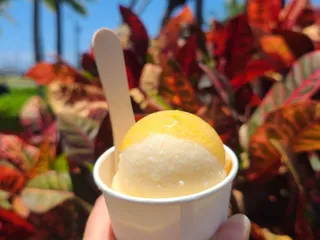 Wicked Hi Slush At Kaka’ako Farmers Market