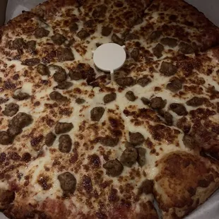 1 Large Pizza with 2 Toppings sausage and salami