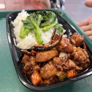 Kung Pao Chicken Over Rice