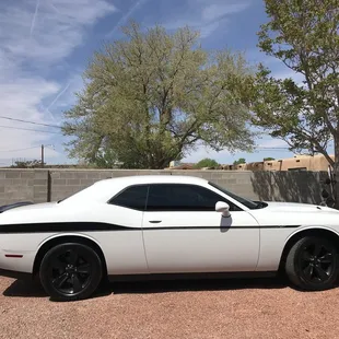 A nos muscle car done in 20% all! Love the color scheme, love the look and love the tint!