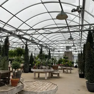 the inside of a greenhouse