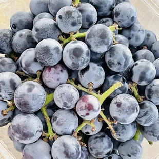 Lago Korean Wine Grapes - all have seeds &amp; yes these do have a hint of wine taste.