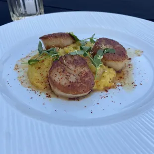 Seared Scallops and Risotto