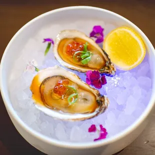 three oysters on a bed of ice