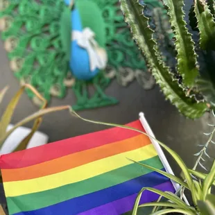 Pride Friendly