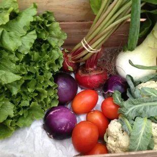 Locally and Sustainably Grown Produce delivered to your door.  This is one of last year's Farmstand Locavore Bag Gro