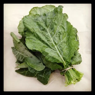 Collard Greens - Locally grown, pesticide free from Greens on the Gro in Palmetto