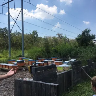 Beekeeping area
