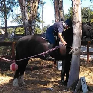 Having fun and learning at AStable Named Desire.