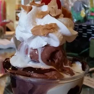 A Smore Sundae  Chocolate ice cream, hot fudge &amp; marshmallow topping.  Yummy