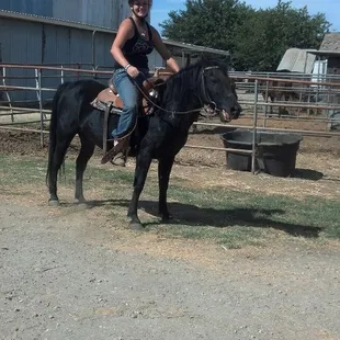 one of 6 pony rescue from Tracy Ca  found home for them all. Check us out on FB