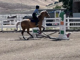 Cerro Vista Ranch and Stables