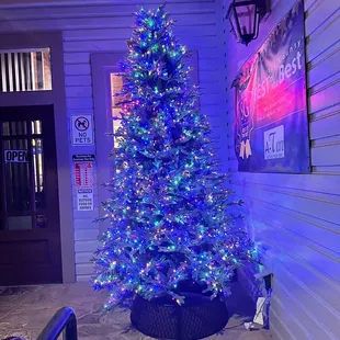 Outside Christmas tree