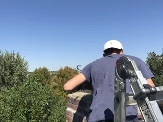 Borland Wildlife Solutions