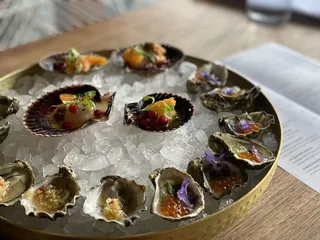 Ceviche Project