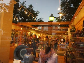 Phoenix Gallery