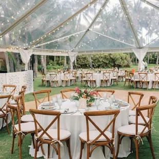 Taryn made my whole vision come to life!