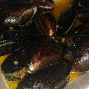 food, oysters and mussels, mussels, shellfish, oysters