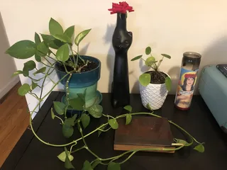 Carnardo Wine & Cheese