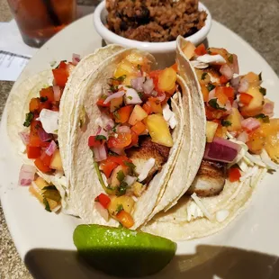 Pan fried Cobia tacos.