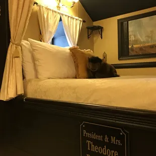 The Teddy Roosevelt Suite