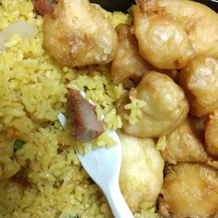 Sweet and sour chicken. C21.