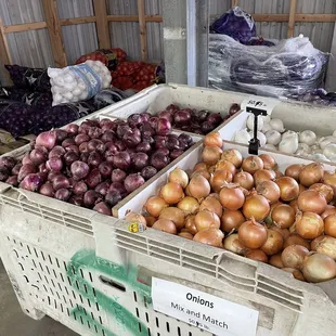 Onion pricing