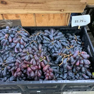 New grapes