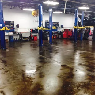 We keep our facility extremely clean!  Washing down once a week!